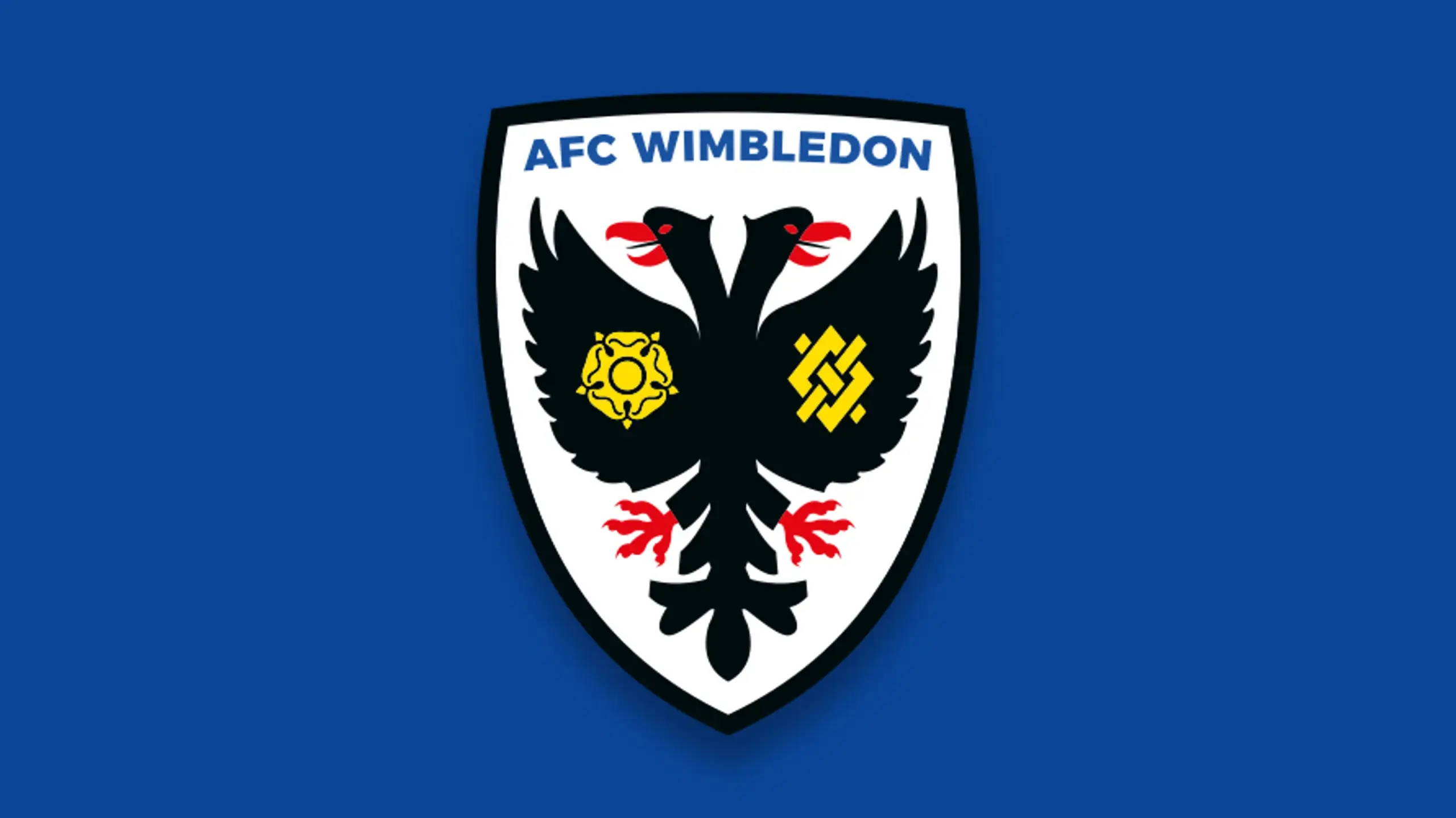 AFC Wimbledon FC History