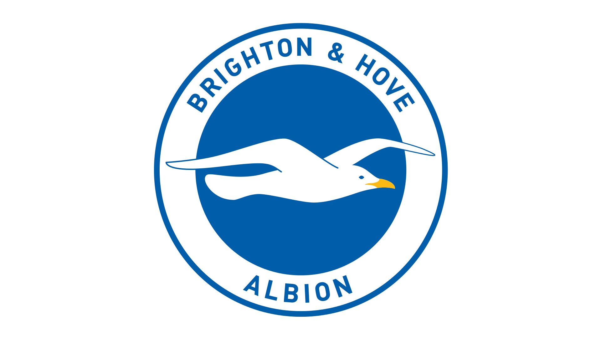 Brighton and Hove Albion FC History