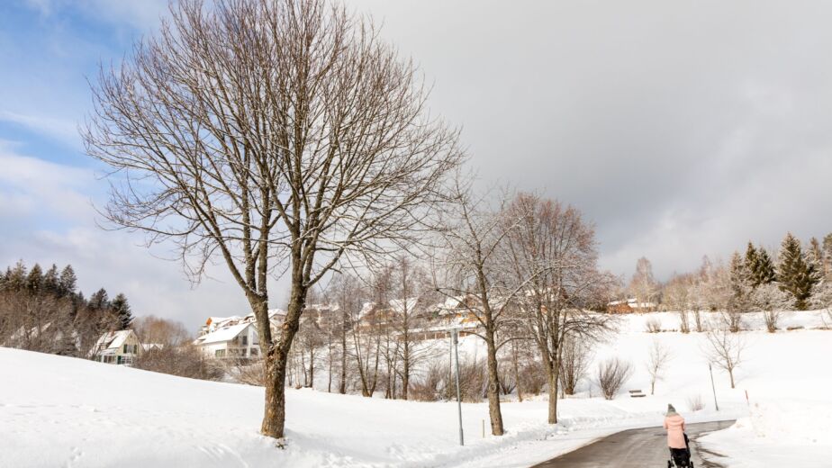 Liechtenstein Weather