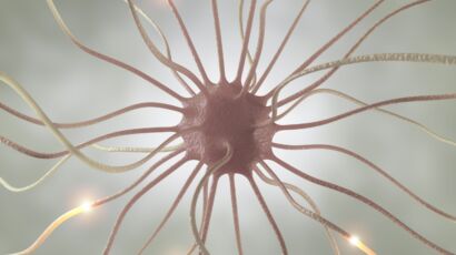 ‘Pamela’ 43 Case Study