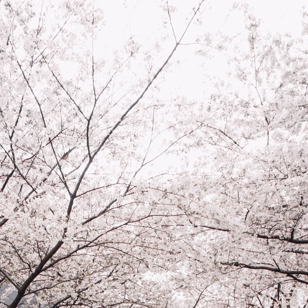 Air Quality Yamanashi Prefecture