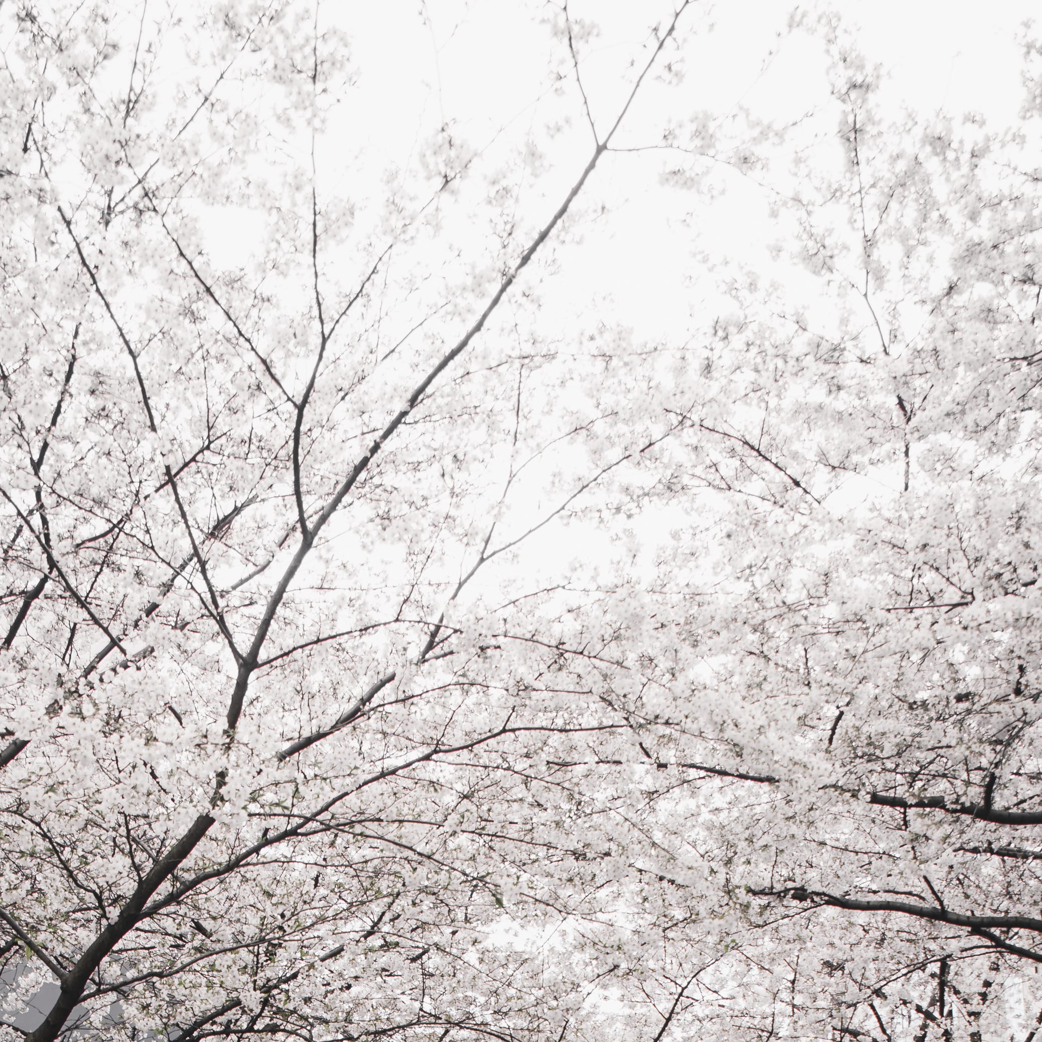Air Quality Yamanashi Prefecture